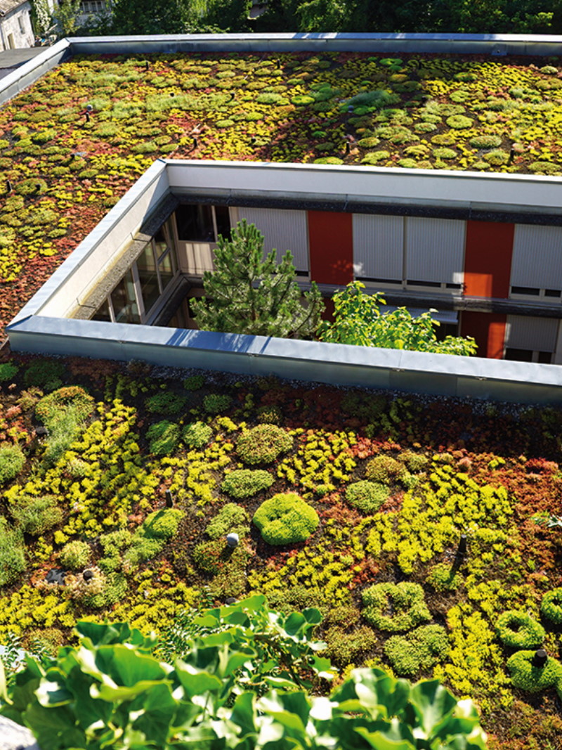 22. Dach-Forum – Austausch, Impulse und Perspektiven für das Dachhandwerk